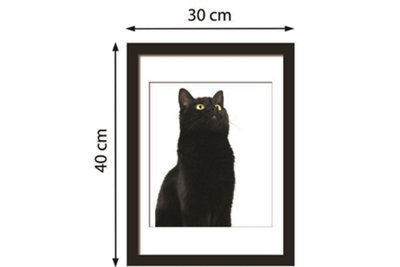 Walplus 2in1 Cute Black Cat Poster Multicoloured - 5