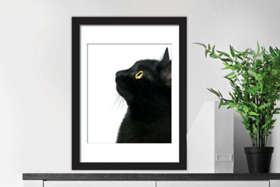 Walplus 2in1 Poster - Black Cat focus Multicoloured - 3