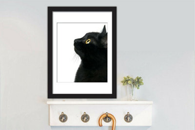Walplus 2in1 Poster - Black Cat focus Multicoloured - 4