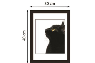 Walplus 2in1 Poster - Black Cat focus Multicoloured - 5