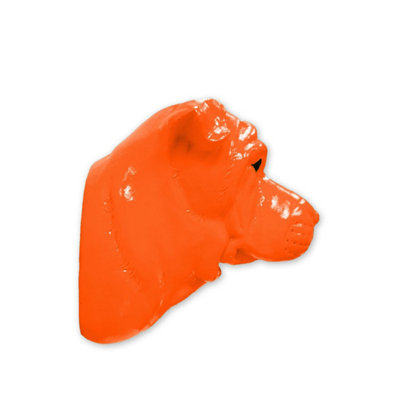 Walplus Animal Head Home Decoration Wall Art Sculpture - Amber Bull Dog - 3