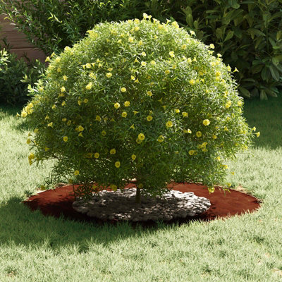 WALPLUS Decorative Tree Ring Modern Design