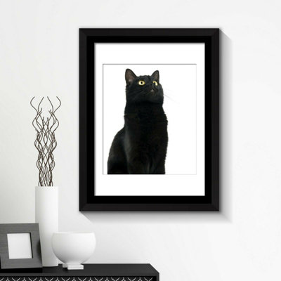 Walplus Framed Art 2in1 Cute Black Cat Poster Self-adhesive Home Decorations DIY Room Decor Gifts for Girls Peel and Stick