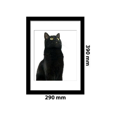 Walplus Framed Art 2in1 Cute Black Cat Poster Self-adhesive Home Decorations DIY Room Decor Gifts for Girls Peel and Stick