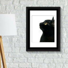 Walplus Framed Art Poster -Black Cat Focus Poster Self-adhesive Home Decorations Room Decor Gifts for Girls Peel and Stick