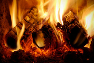 Warma Softwood Kiln Dried Logs Firewood Firepit Chimenea Pizza Oven Logs 7kg