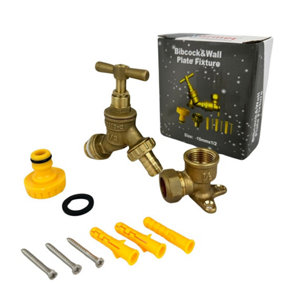 Warmer System Water Bibcock Tap 1/2 inch BSP with Brass Wall Plate Fixture
