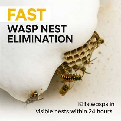 Wasp Nest Destroyer Foam Spray 300ml Fast Acting Wasp Killer for Lofts ...