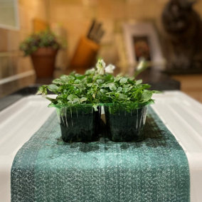 Water Absorbent Capillary Matting Roll for Plant Pot Watering (5m x 0.53m)