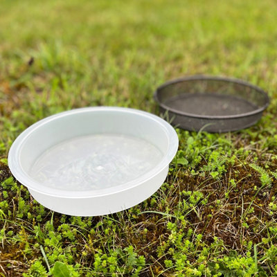 Water Dish & Mesh Seed Dish Set for Bird Feeding Stations