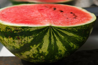 Water Melon Crimson Sweet Fruit Seeds (Approx. 20 seeds) by Jamieson Brothers