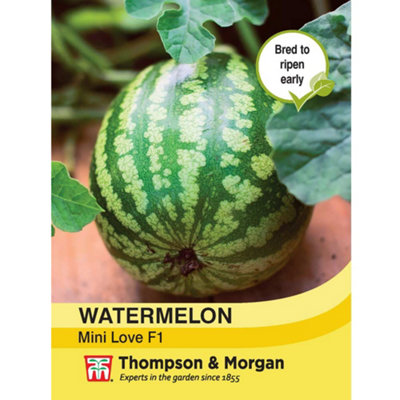Watermelon Mini Love F1 1 Seed Packet