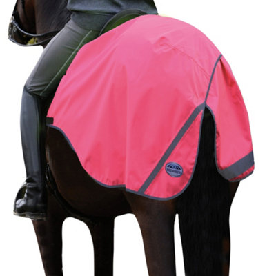 Couverture D'exercice Réfléchissante WeatherBeeta 300D Pour Cheval - Rose