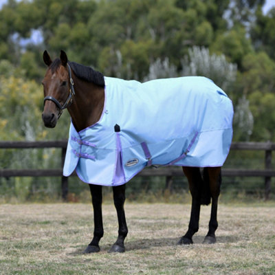 Weatherbeeta horse deals blankets