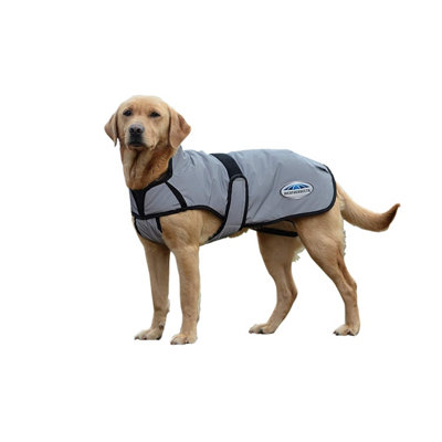 Weatherbeeta Comfitec Reflective Dog Jacket Silver (35cm) DIY at B&Q