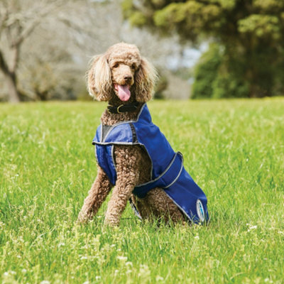 Weatherbeeta windbreaker 420d 2024 deluxe dog coat