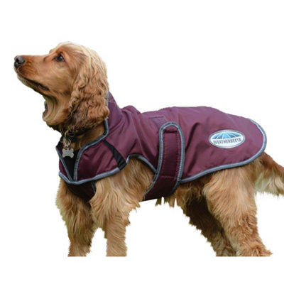 Weatherbeeta Comfitec Windbreaker Free Deluxe Dog Coat Maroon/Grey/White (65cm) Price Comparisons | Compare The Build