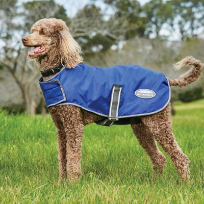 Weatherbeeta windbreaker 420d cheap deluxe dog coat