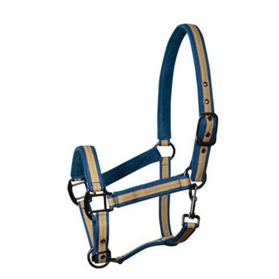 Weatherbeeta Coordinate Horse Headcollar Blue/Apricot/Green (Pony) Price Comparisons | Compare The Build