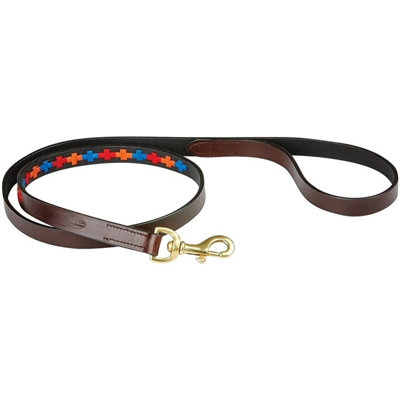 Weatherbeeta Polo Leather Dog Lead Beaufort Brown/Red/Orange/Blue (Medium) Price Comparisons | Compare The Build