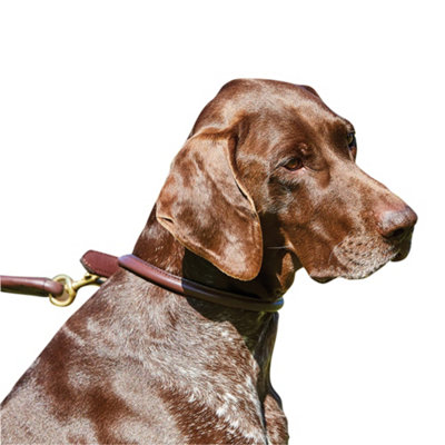 Weatherbeeta Rolled Leather Dog Collar Brown (XXL)