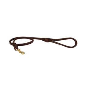 Weatherbeeta Rolled Leather Dog Lead Brown (One Size)