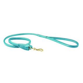 Weatherbeeta Rolled Leather Dog Lead Teal (One Size)