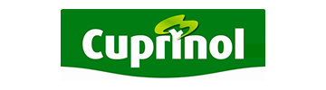 Shop Cuprinol paint.