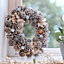 Wedgewood Xmas Winter Christmas Festive Wreath, Christmas Wreath for Front Door, Home Decoration 36cm