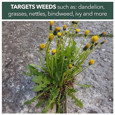 Total Glyphosate Weedkiller 2 x 2.5L Weedblast Rootkill, with Long hose trigger