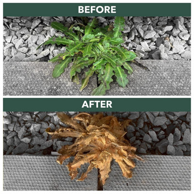 Weedblast Fast Acting Weedkiller 5 Litre with 1 Litre Spray - 4