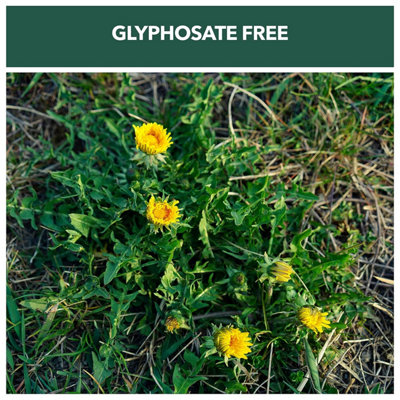 Weedblast Fast Acting Weedkiller 5 Litre with 1 Litre Spray - 7