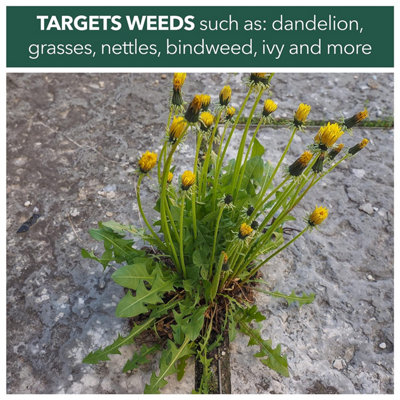 Weedblast Fast Acting Weedkiller 5 Litre with Long Hose Trigger - 4
