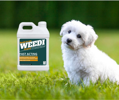 Weed killer dog deals friendly