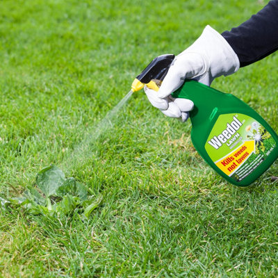 Weedol Lawn Weed Killer Spray, 800ml