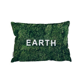 Wellness Earth (Cushion) / 30cm x 45cm