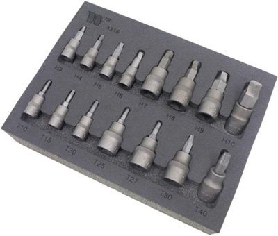 Welzh Werkzeug 15 Piece Lok Typ Torx Hex Removers Master Kit 4316-WW