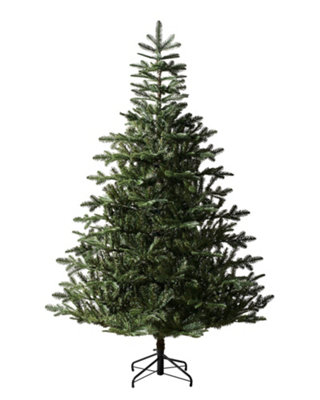 WeRChristmas Nordmann Fir Christmas Tree, 8 ft