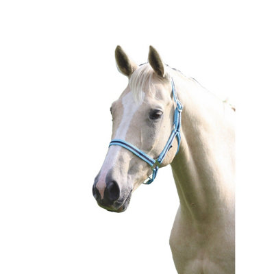 Celtic Equine Nylon Headcollar In Navy