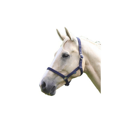 Wessex Horse Headcollar Navy (Cob) Price Comparisons | Compare The Build