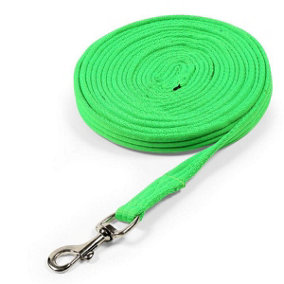 Wessex Web Horse Lunge Line Green (8m)