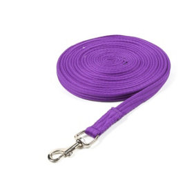 Wessex Web Horse Lunge Line Purple (8m)