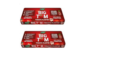 Westland Big Tom Tomato Planter Large Pack of 2