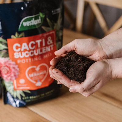 Westland Cacti & Succulent Potting Mix 4L Peat Free with Seramis Grit &  Sand for Strong