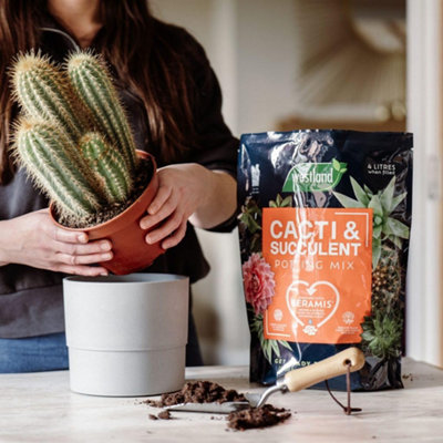 Westland Cacti & Succulent Potting Mix 4L Peat Free with Seramis