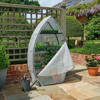 Westland Clear Growhouse Unique Shape Greenhouse Strong Wind Resistant More Room - 4