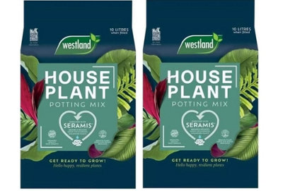 Westland Houseplant Potting Mix With Seramis 10L Pack of