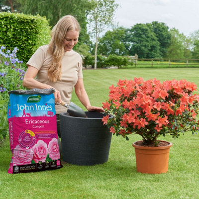 Westland John Innes Peat-Free Ericaceous Compost 28L, Lime-Free and ...