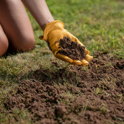 Westland Lawn and Turf Dressing - Multi-purpose top dressing for ...