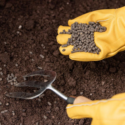 Westland Organic Chicken Manure Pellets 8kg Tub Natural Garden Plant Feed